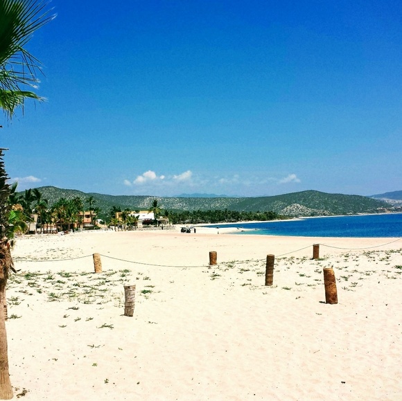 Meet your Posher, Stacy - Picture 1 of 1